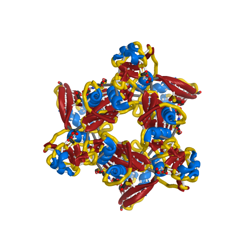 Non-Structural Protein 15 (NSP15) Endoribonuclease