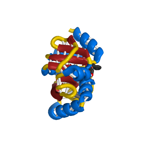 Non-Structural Protein 3 (NSP3) ADP Ribose Phosphatase