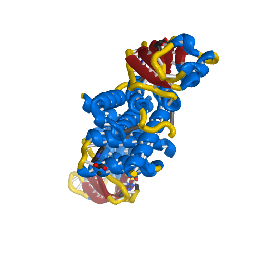 Non-Structural Protein 7 (NSP7)