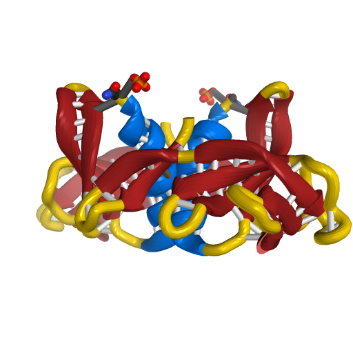 Non-Structural Protein 9 (NSP9) Replicase