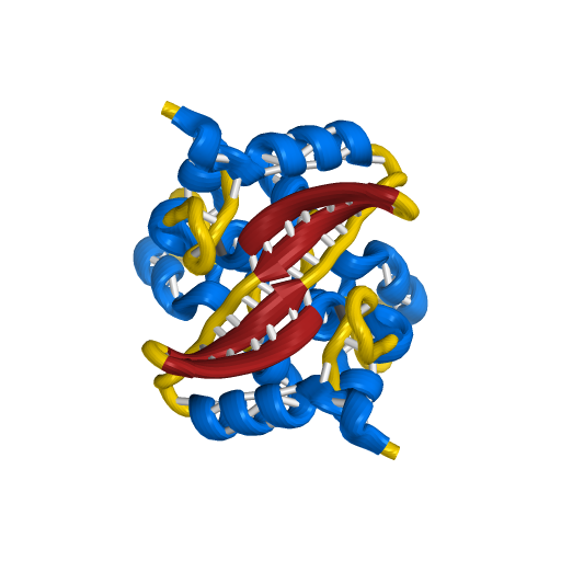 Nucleocapsid Proteins