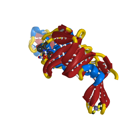 Papain-Like Protease