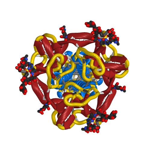 Spike Receptor Protein