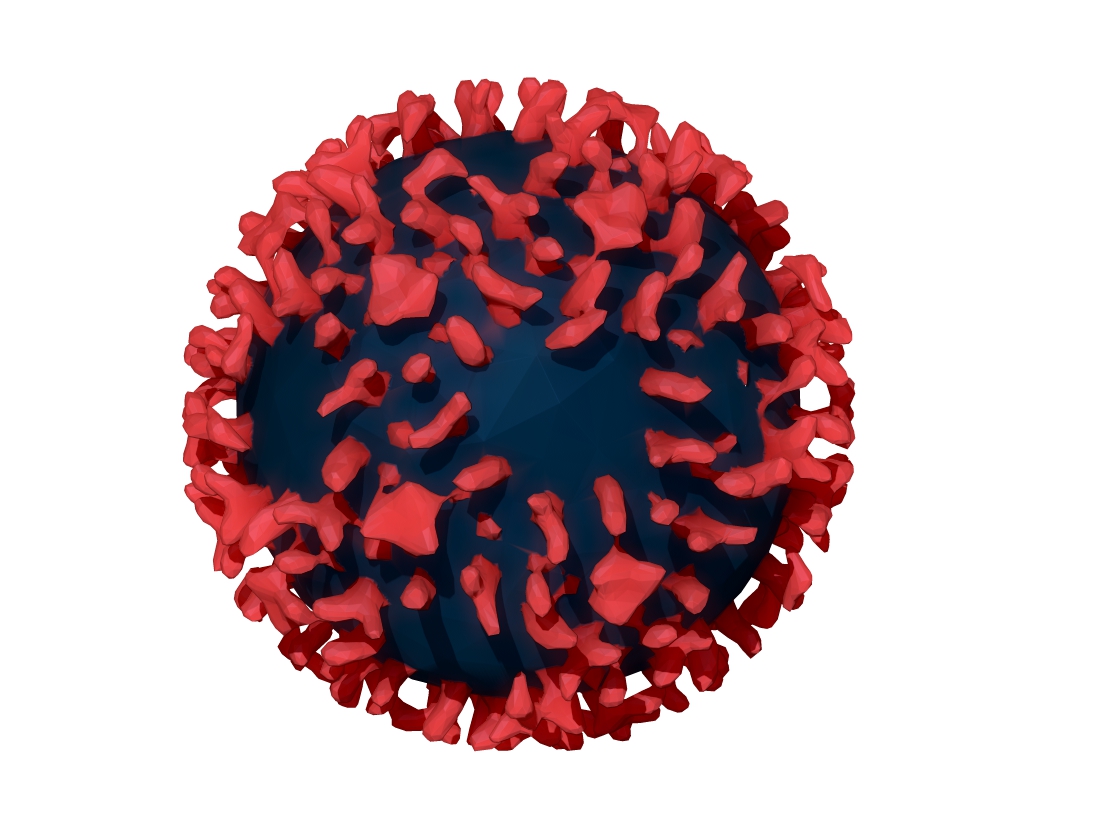 The Hepatitis B Life Cycle