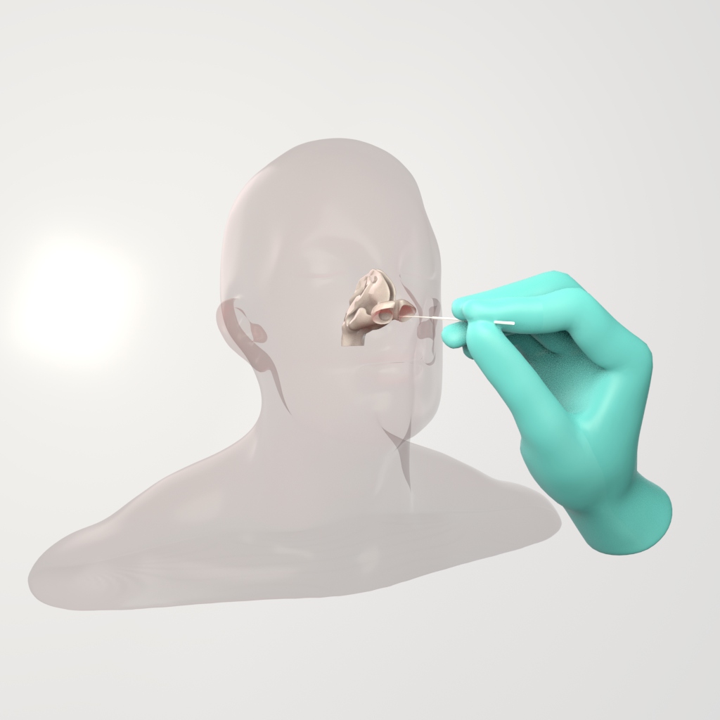 Nasopharyngeal Swabs: Anatomy of the Nasal Cavity