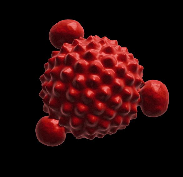 3D Pollen Library Highlights